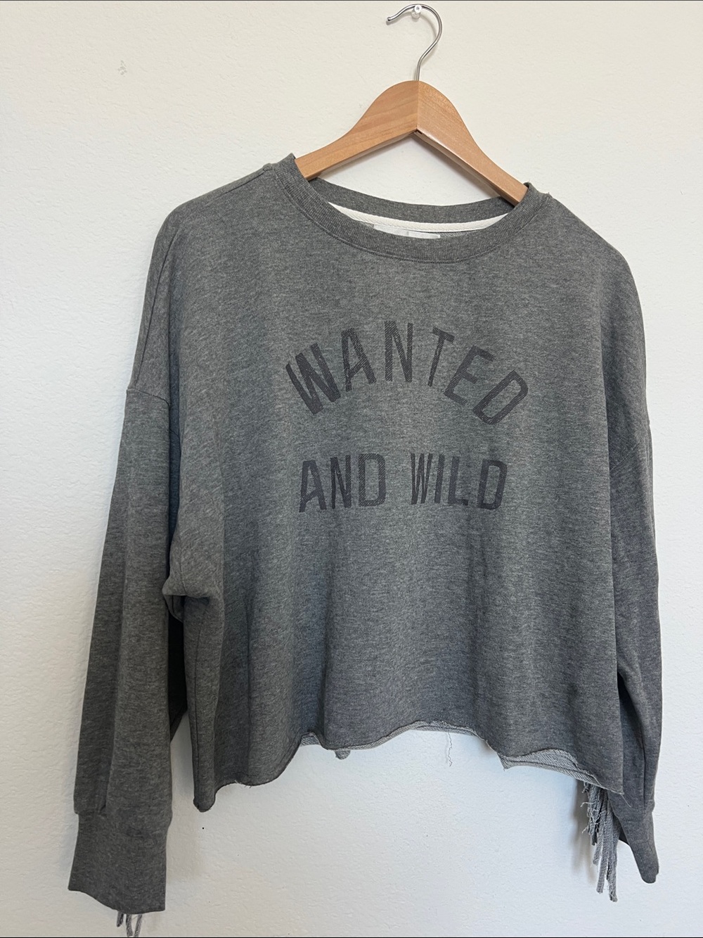 Wildfox Gray "Wanted and Wild" Cropped Crewneck Sweater